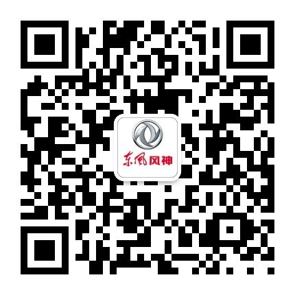 东风风神资讯